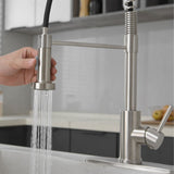 Pull down kitchen faucet