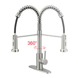 Pull down kitchen faucet