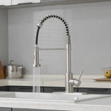 Pull down kitchen faucet